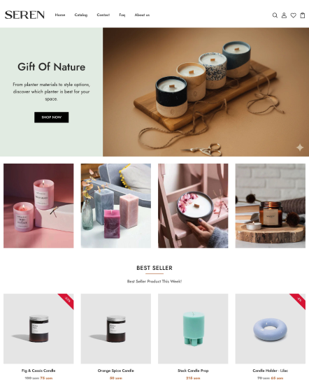 Preview of the Home Decor Inspirations Shopify theme